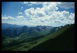 Landschaft im Sommer
