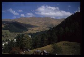 Landschaft im Sommer