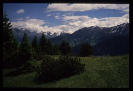 Landschaft im Sommer