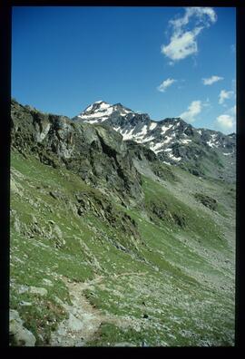 Landschaft im Sommer