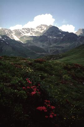 Bergwandern