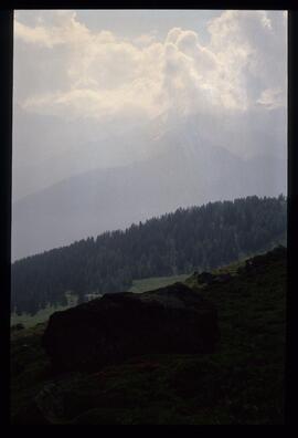 Landschaft im Sommer