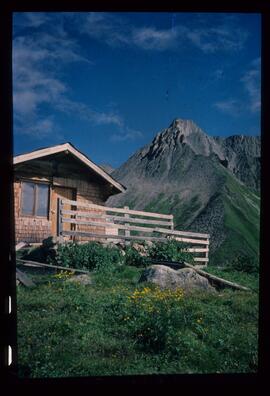 Landschaft im Sommer