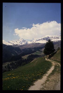 Landschaft im Sommer