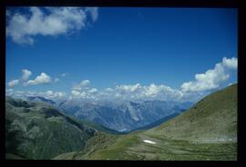 Landschaft im Sommer