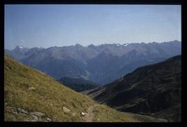 Landschaft im Sommer