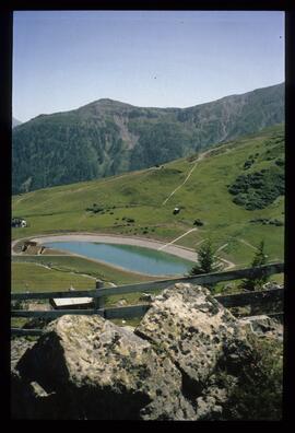 Landschaft im Sommer