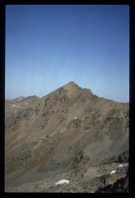 Landschaft im Sommer