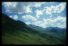 Landschaft im Sommer