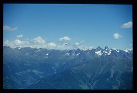 Landschaft im Sommer