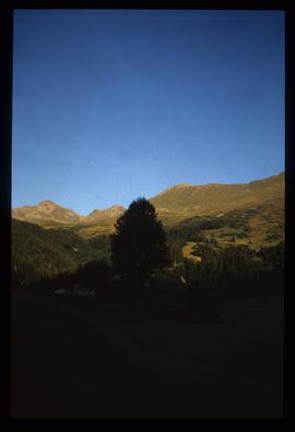 Landschaft im Sommer
