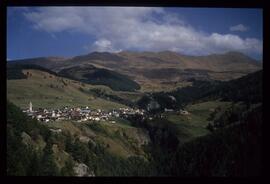Landschaft im Sommer