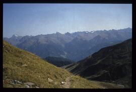 Landschaft im Sommer