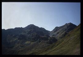 Landschaft im Sommer