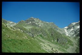 Landschaft im Sommer