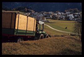 Auf dem Feld