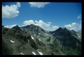 Landschaft im Sommer