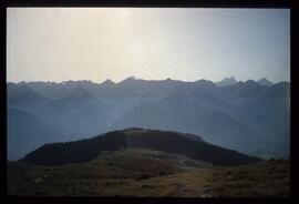 Landschaft im Sommer