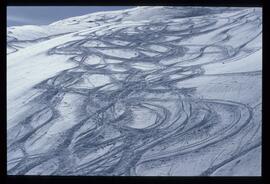 Landschaft im Winter