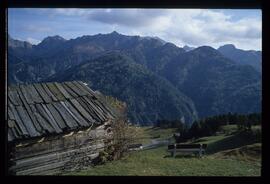 Landschaft im Sommer