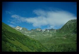 Landschaft im Sommer