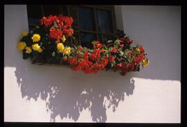 Blumenschmuck