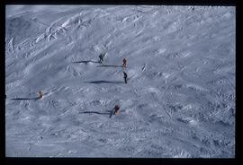 Landschaft im Winter