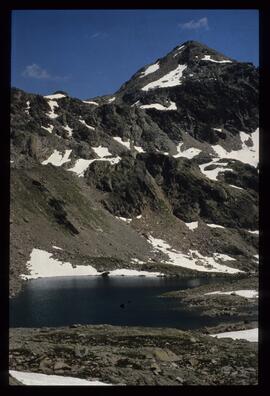 Landschaft im Sommer