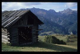 Landschaft im Sommer