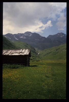 Landschaft im Sommer