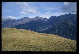 Landschaft im Sommer