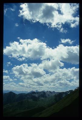 Landschaft im Sommer