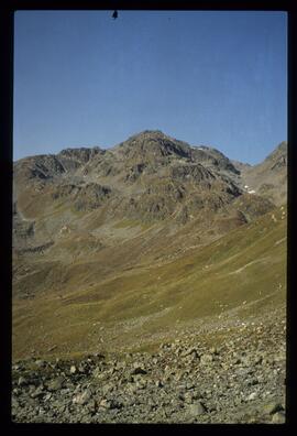 Landschaft im Sommer