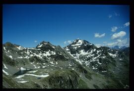Landschaft im Sommer
