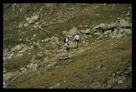 Gäste im Gebirge