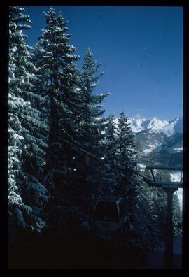 Landschaft im Winter