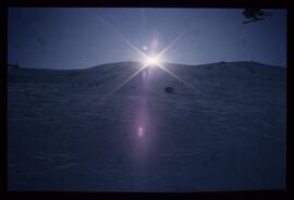 Landschaft im Winter