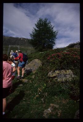 Landschaft, Wandern