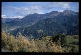 Landschaft im Sommer