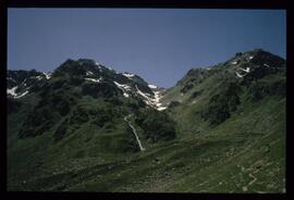 Landschaft im Sommer