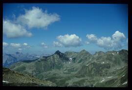 Landschaft im Sommer