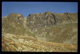 Landschaft im Sommer