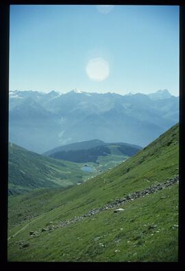 Landschaft im Sommer