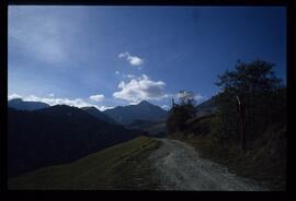 Landschaft im Sommer