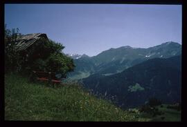 Landschaft im Sommer