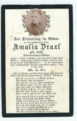 Amalia Draxl geb. Koch 2