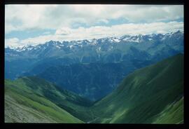 Landschaft im Sommer