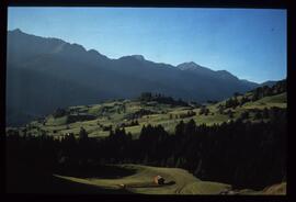 Landschaft im Sommer