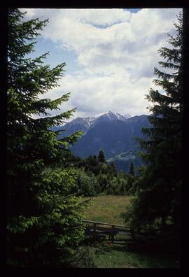 Landschaft im Sommer