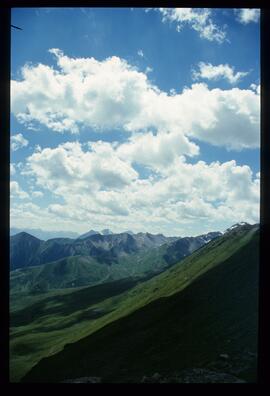 Landschaft im Sommer